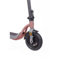 Pinakabagong disenyo 350W Electric Scooter 10 Inch