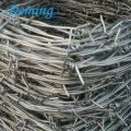 /msite/products/detail/productid/57030656/id/666379.html