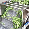 máquina de lavar industrial de frutas e vegetais