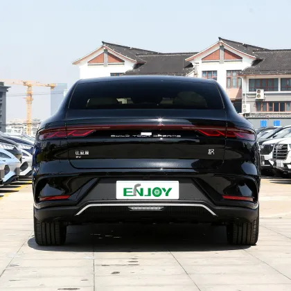 BYD Han EV: Panoramic Sunroof, HIFI-Dynaudio System & Fast DC Charging