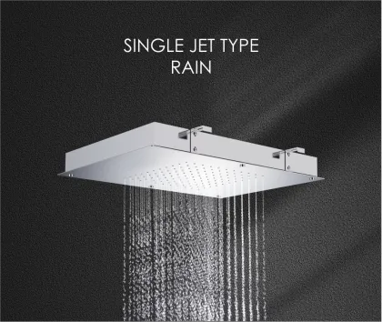 Big bathroom overhead shower head