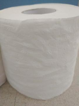 recycle bathroom tissue paper