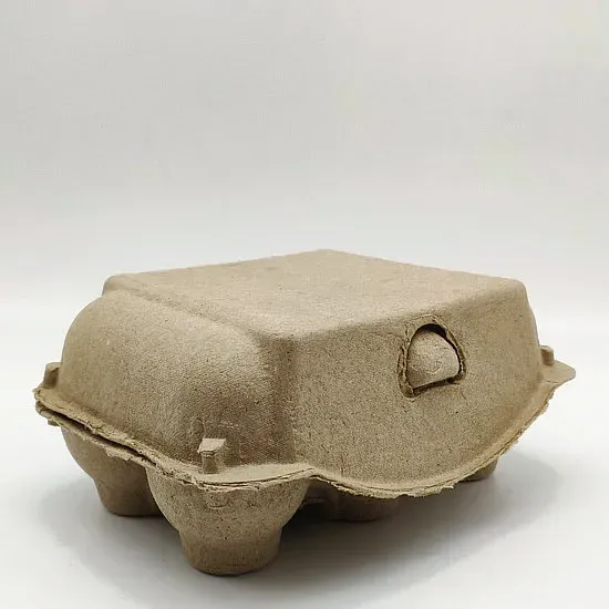 Eco-Friendly 6-Hole Paper Egg Tray