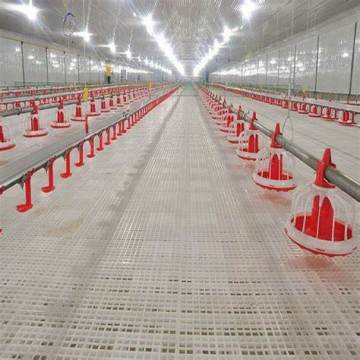 High Quality Plastic Flooring Poultry Slats for Adult and Baby Chicks