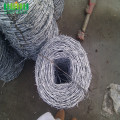 Harga 50 kg Galvanized Wire Wire Per Roll