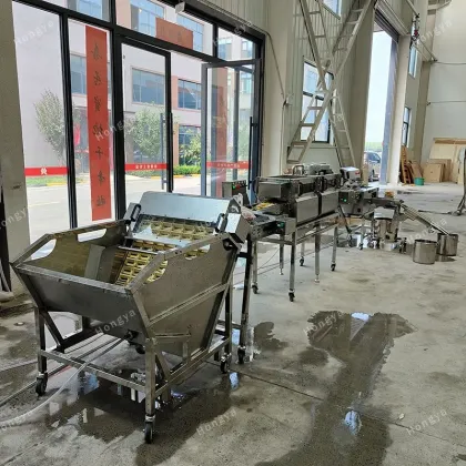 Industrial Egg Washing, Drying, Sterilization, Inspection, and Separation Machine