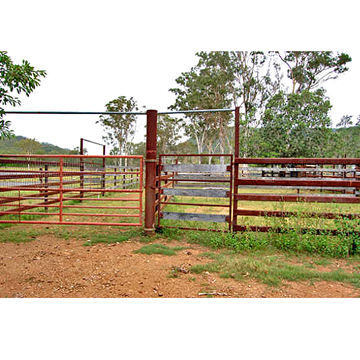 Cattle yard with iron tube, powder coating