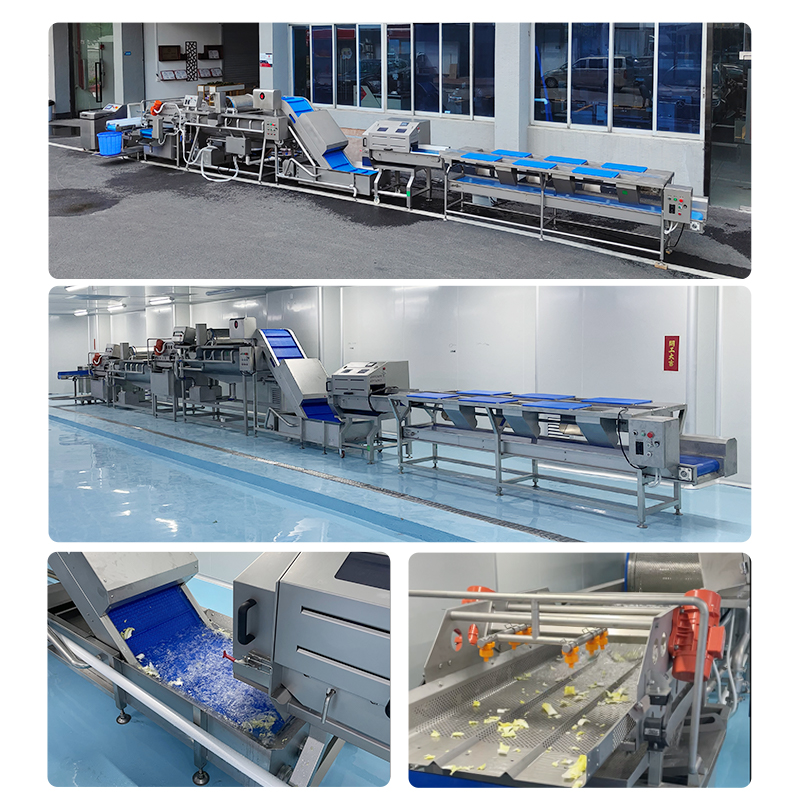 Salad vegetable production line