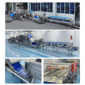 Parsley Spinach Salad Production Line Processing Solution