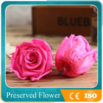 wholesale pink preserved fresh flower head for wedding bouquet