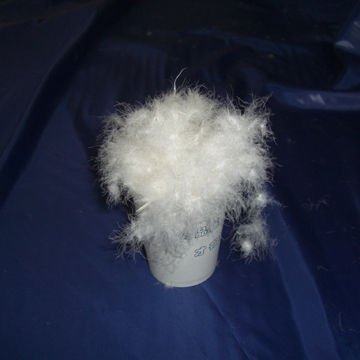 90% Washed White Duck Down, Small Orders are Accepted