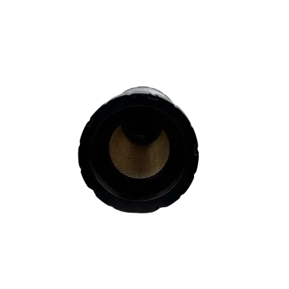 Air Compressor Spare Parts Air Filter Element 22203095