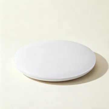 Ultra Thin LED Ceiling Light