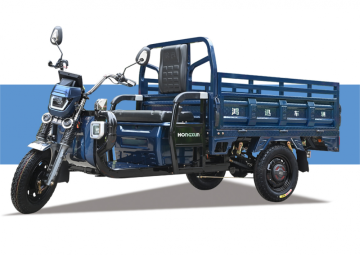 cheap new style electric cargo
