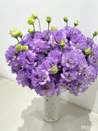 Premium Farmer Light Purple Lisianthus Long Vase Life