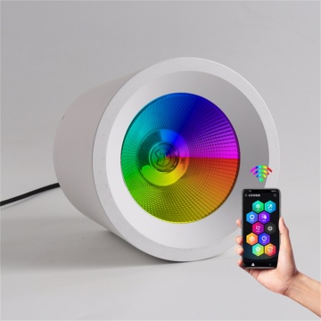 Christmas Hot Selling Remote Control RGBW Indoor Surface Mounted Downlight