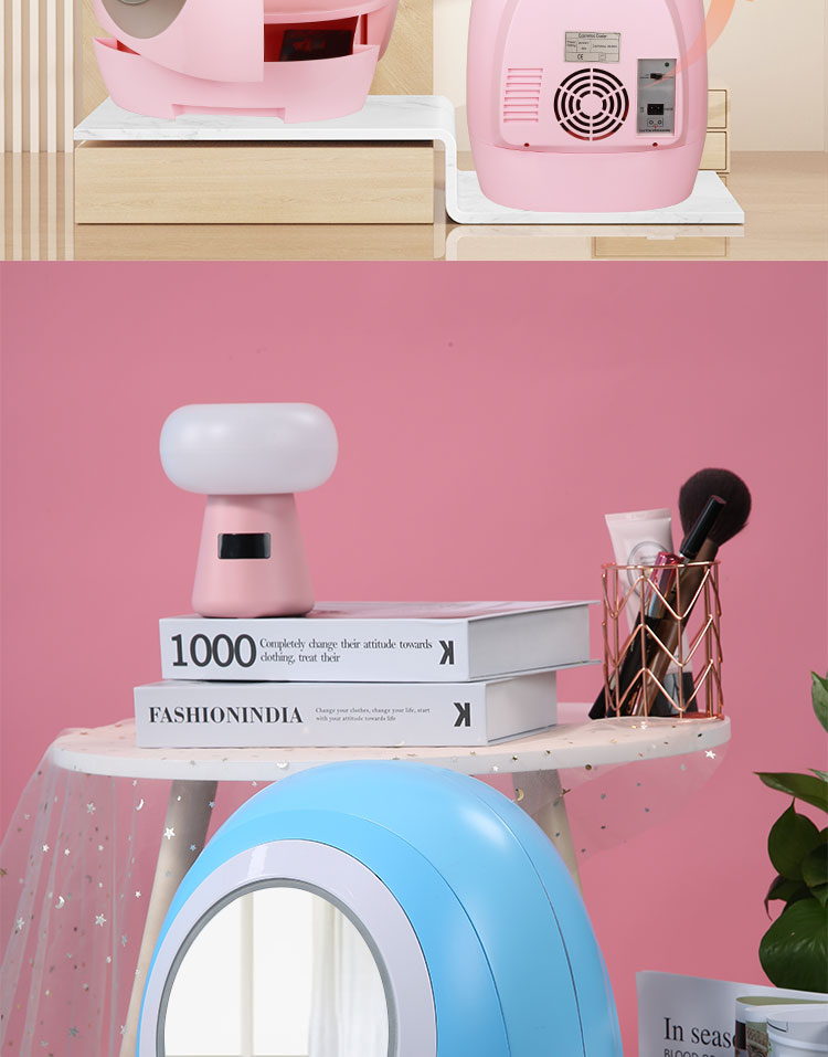 Mini Refrigerator For Cosmetics 07