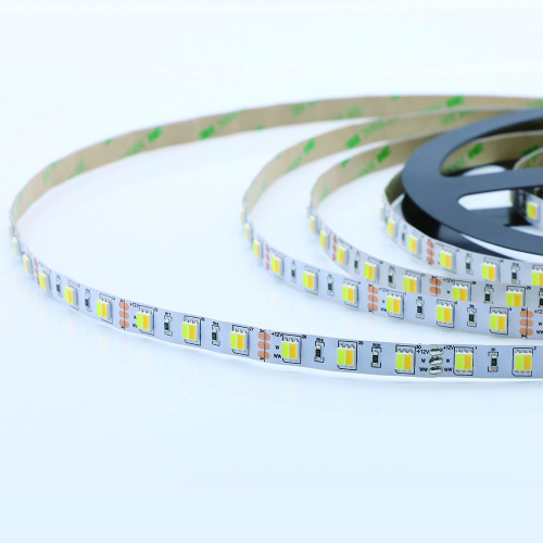 Flexible cálido blanco SMD5050 60Led 12V