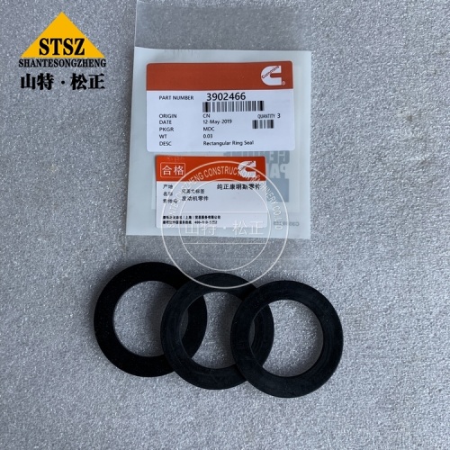 Cummins Spare Parts Seal,Rectangular Ring 3902466