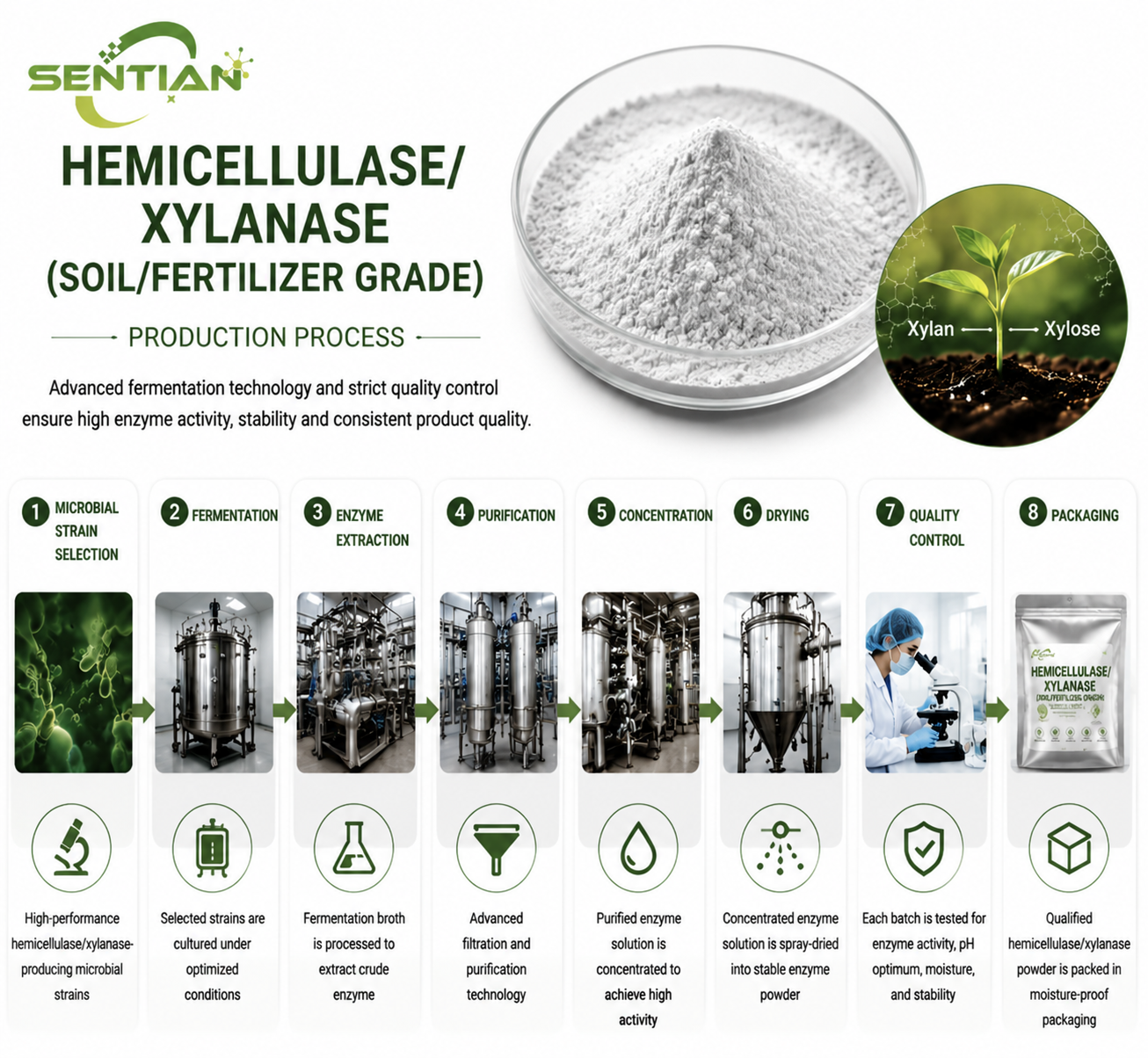 Hemicellulase3