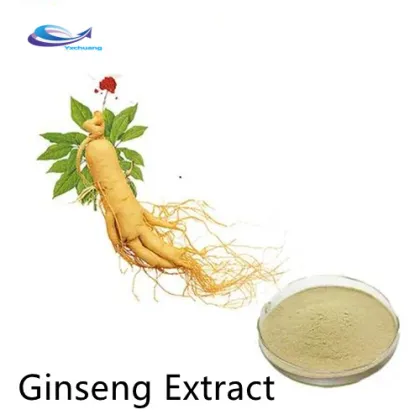 Herb Extract Panax Ginseng Powder 100% Natural