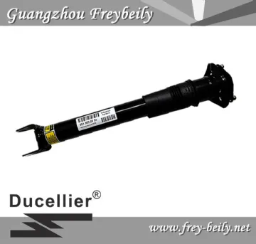 2513202231 Rear without ADS Air Suspension Shock for Mercedes Benz W251