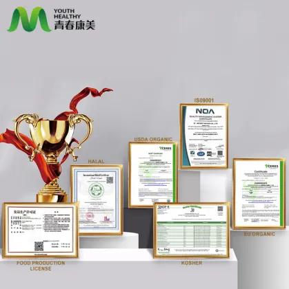 Bamboo Leaf Extract as a Powerful Antioxidant