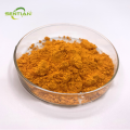High-quality food-grade pumpkin powder