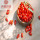 Goji berry / Wolfberry / Lycium Barbarum / quả goji hữu cơ