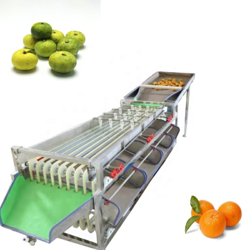 Multi Function Garlic Onion Lemon Fruit Grader Apple Sorter Machine