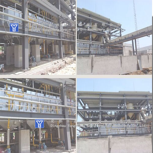 palm oil extraction plant