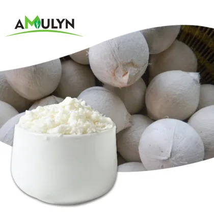 Low Fat Freeze Dried Organic Coconut Powder