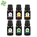 essential oil complete set cheap or class setup