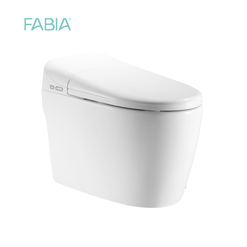 Best Full Function Wc Intelligent Toilet Bowl