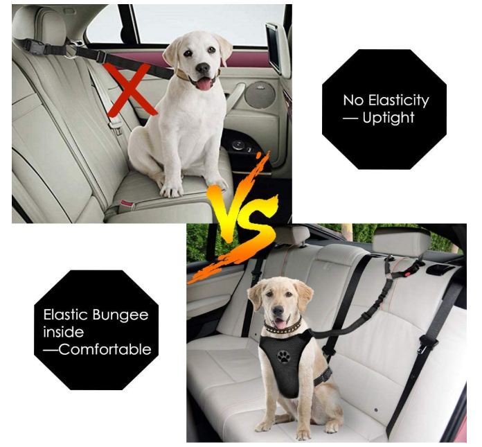 Dog Seat Belt Harness