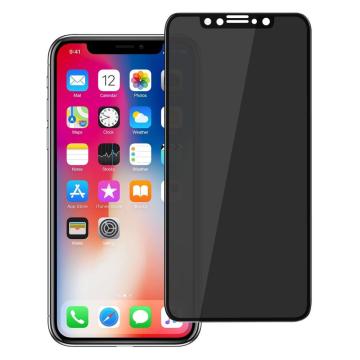 Anti-Spy & Privacy 9H Screen Guard for iX