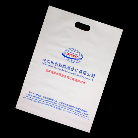 Fancy Designed Die Cut Handle Gift Packaging