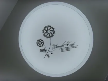 Living room LED ceiling light