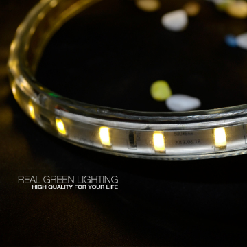 High Lumen SMD 5730 220V LED Flexible Strip Light