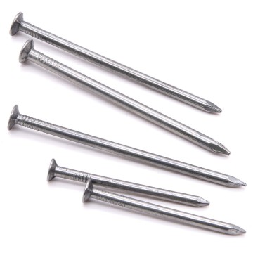 Stainless Steel Common Nails for Woodwork
