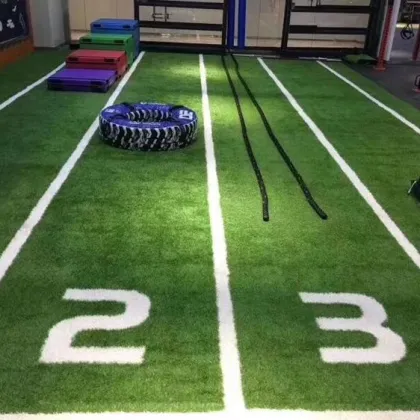 New Design Gym Artificial Grass Synthetic Turf