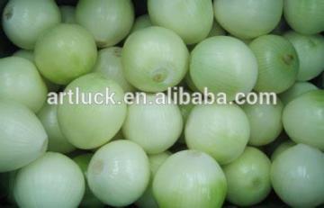 Fresh peeled onion