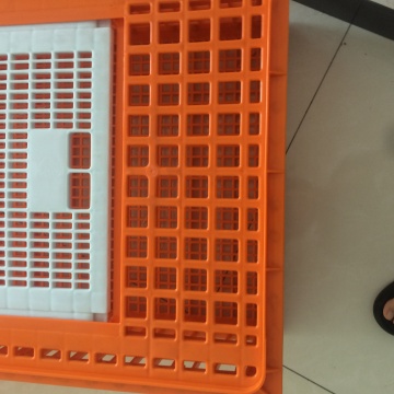 Plastic Poultry Transport Crates for Live Chicken Transportation