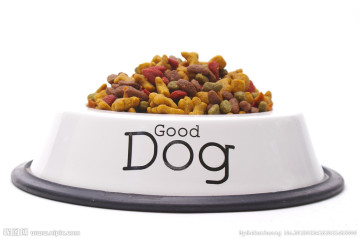 Automatic dog fish food making machine/production line