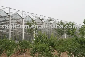 Glass Greenhouse/Agricultural Greenhouse