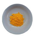 Curcuma naturel en poudre de curcuma 95% en poudre