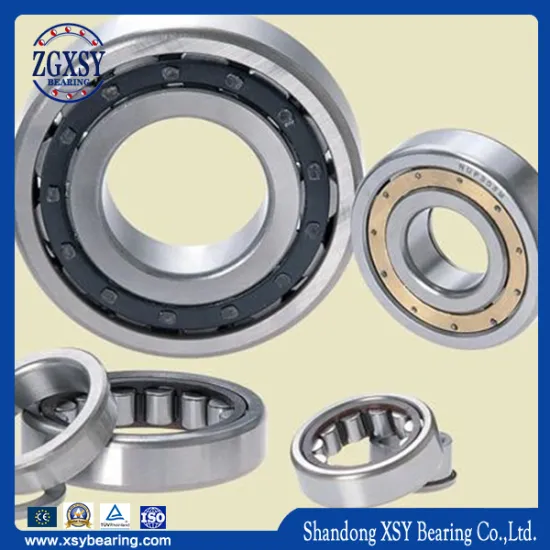 Nu212e-Tvp2-C3 High Capacity Cylindrical Roller Bearing