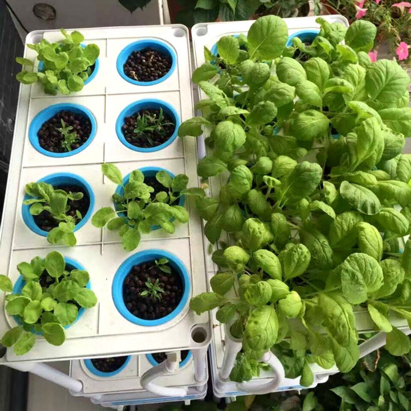 New Vertical Hydroponics System 3