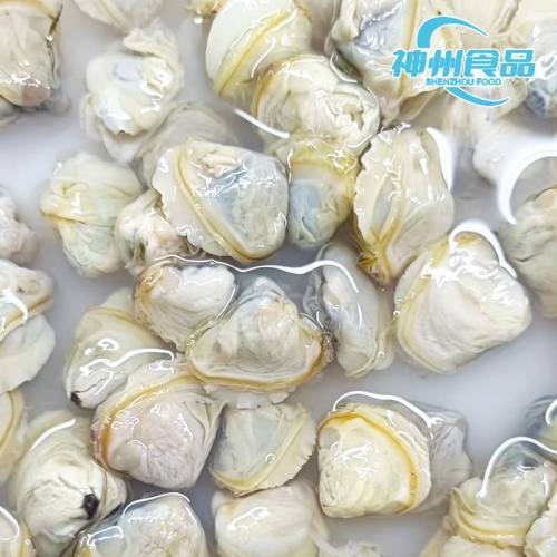 Sandfreie frische Muscheln und verarbeitetes gefrorenes Muschelfleisch