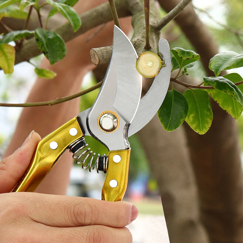 SK5 steel fruit cutting branch bypass pruning cutter garden bonsai pruner outdoor gardening tools